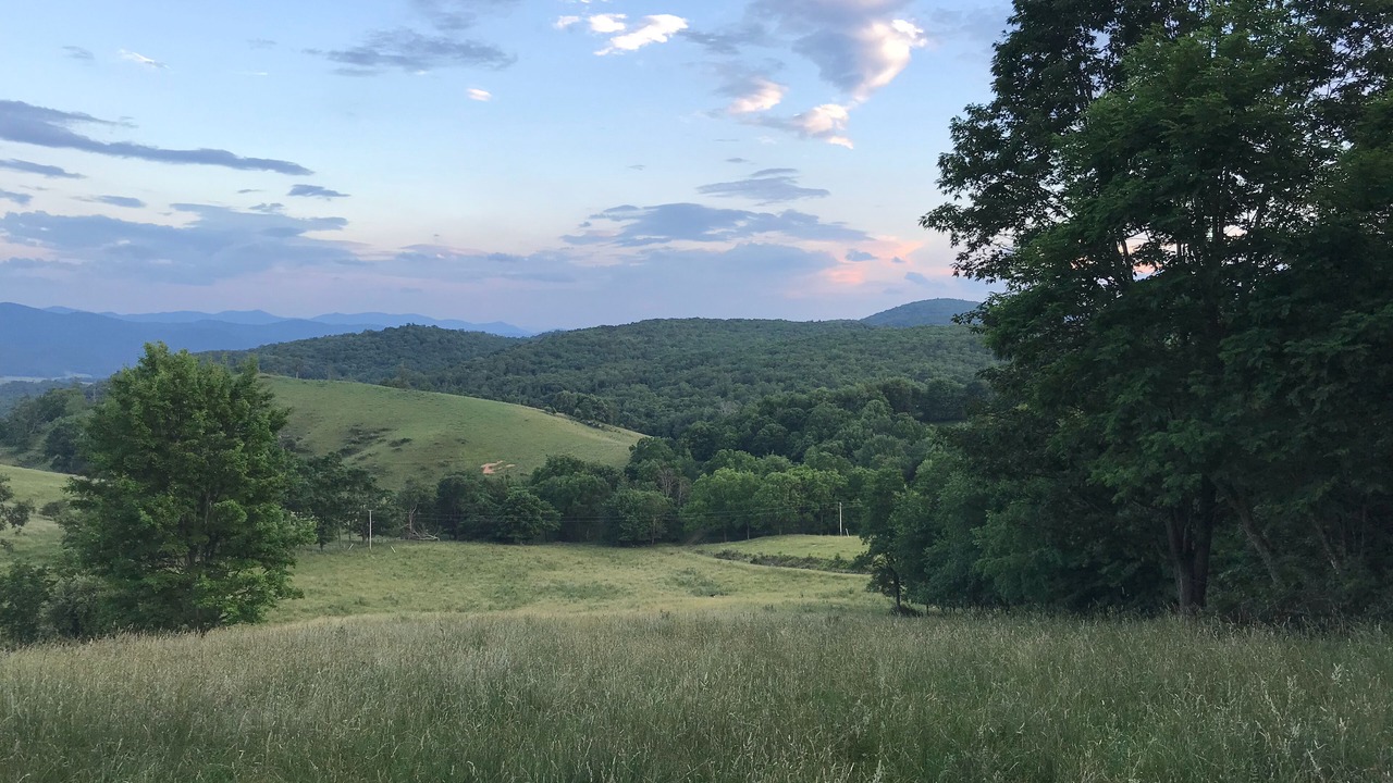 Photo of Others in Doe Hill