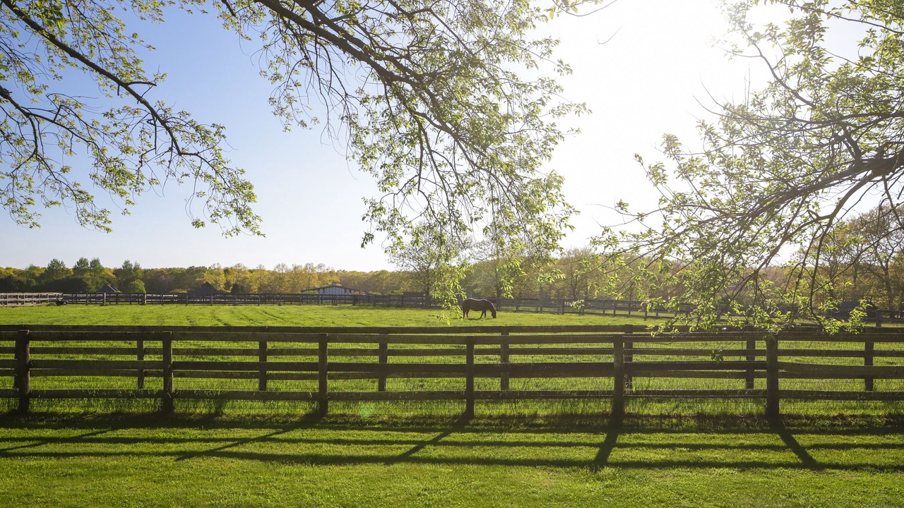 Photo of Outdoor in Water Mill