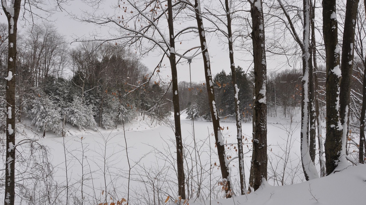 Photo of Outdoor in Altmar