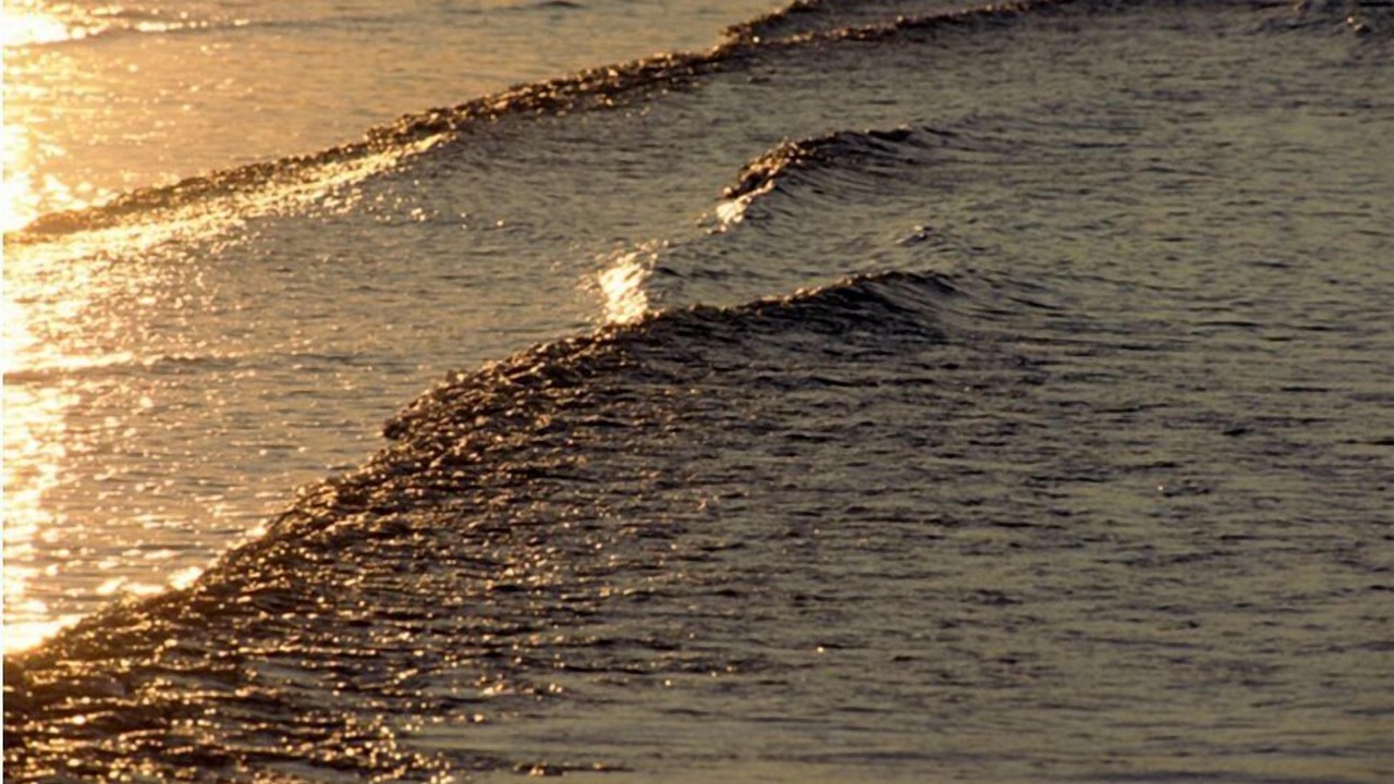 Photo of Others in Village of East Hampton