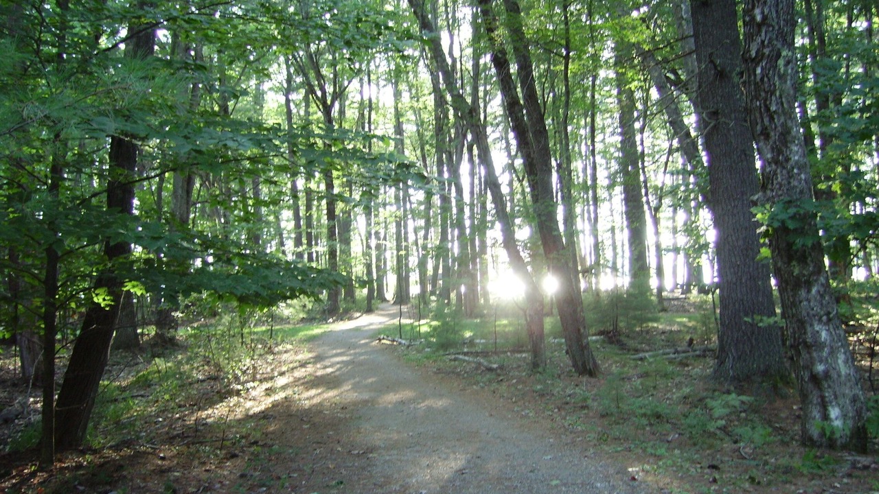 Photo of Outdoor in South Casco
