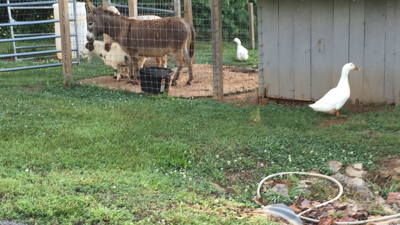 Photo of Others in Lexington