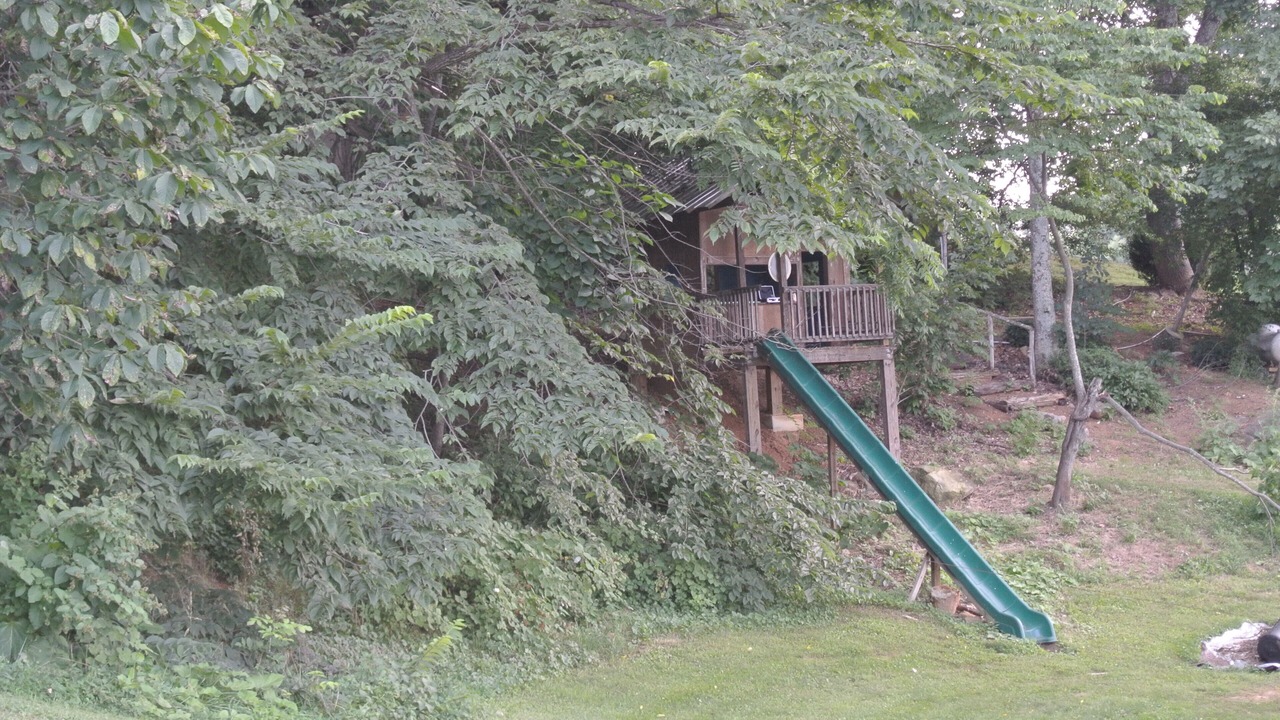 Photo of Others in Lexington