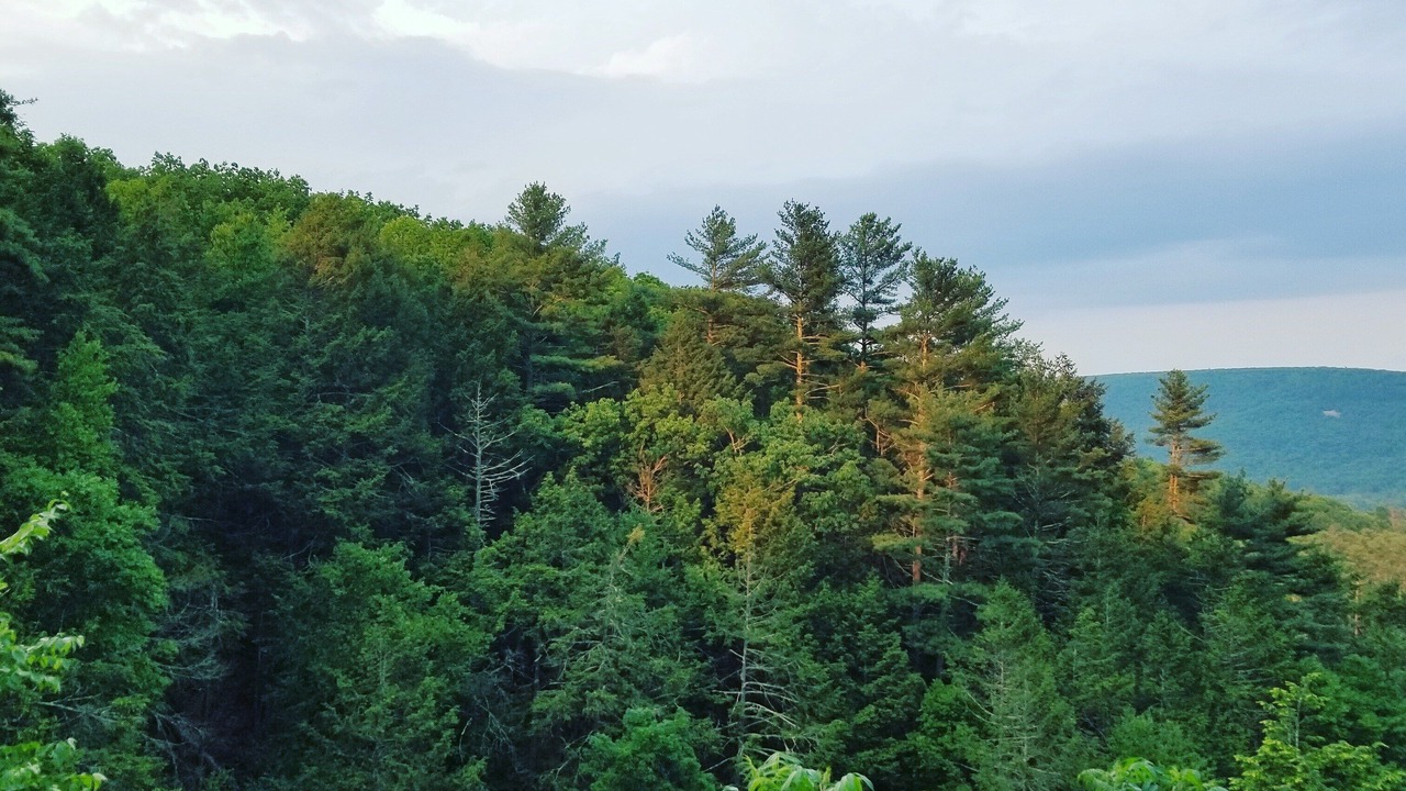 Photo of Others in Wurtsboro