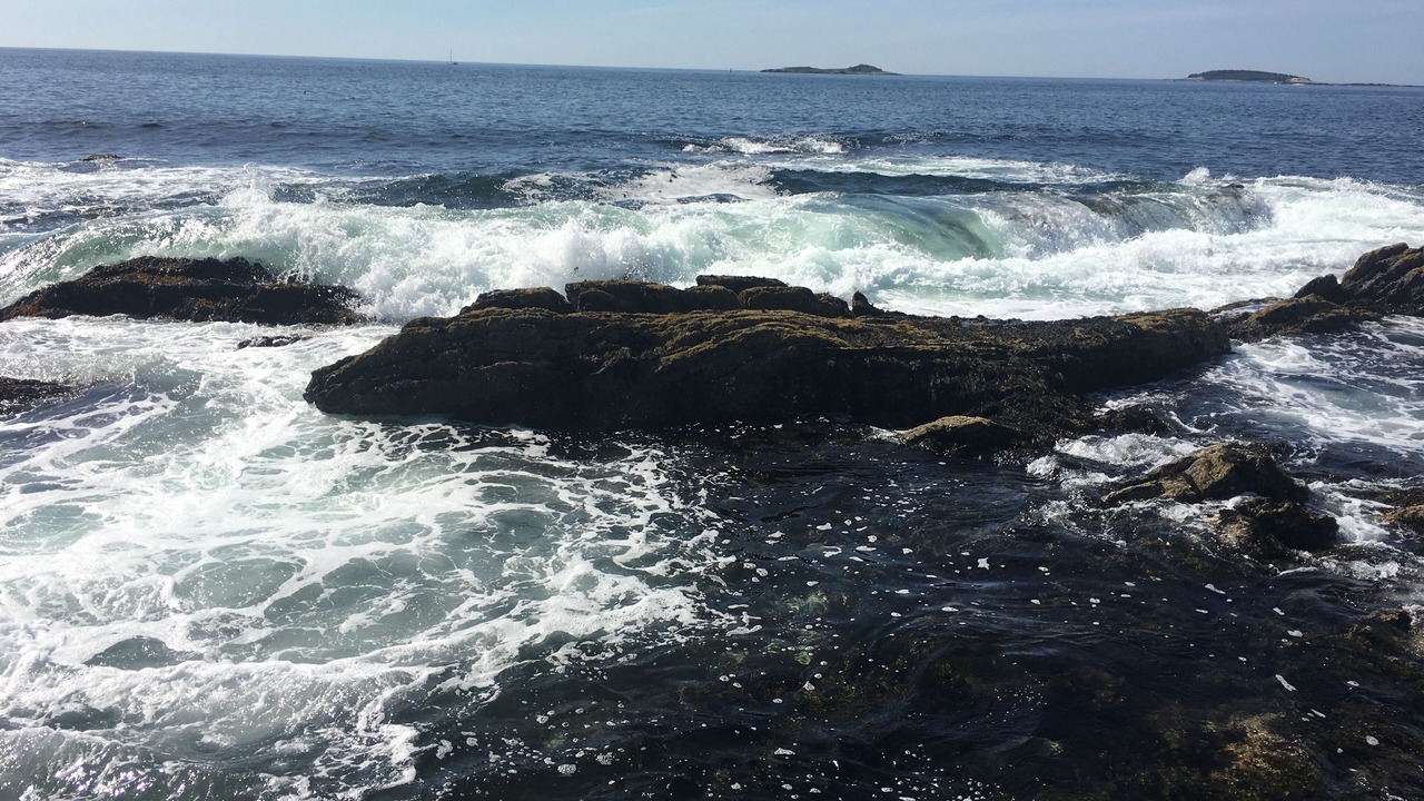 Photo of Others in East Boothbay