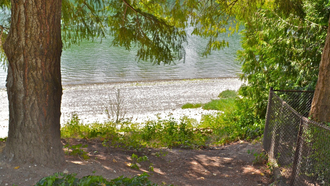 Photo of Others in West Hills