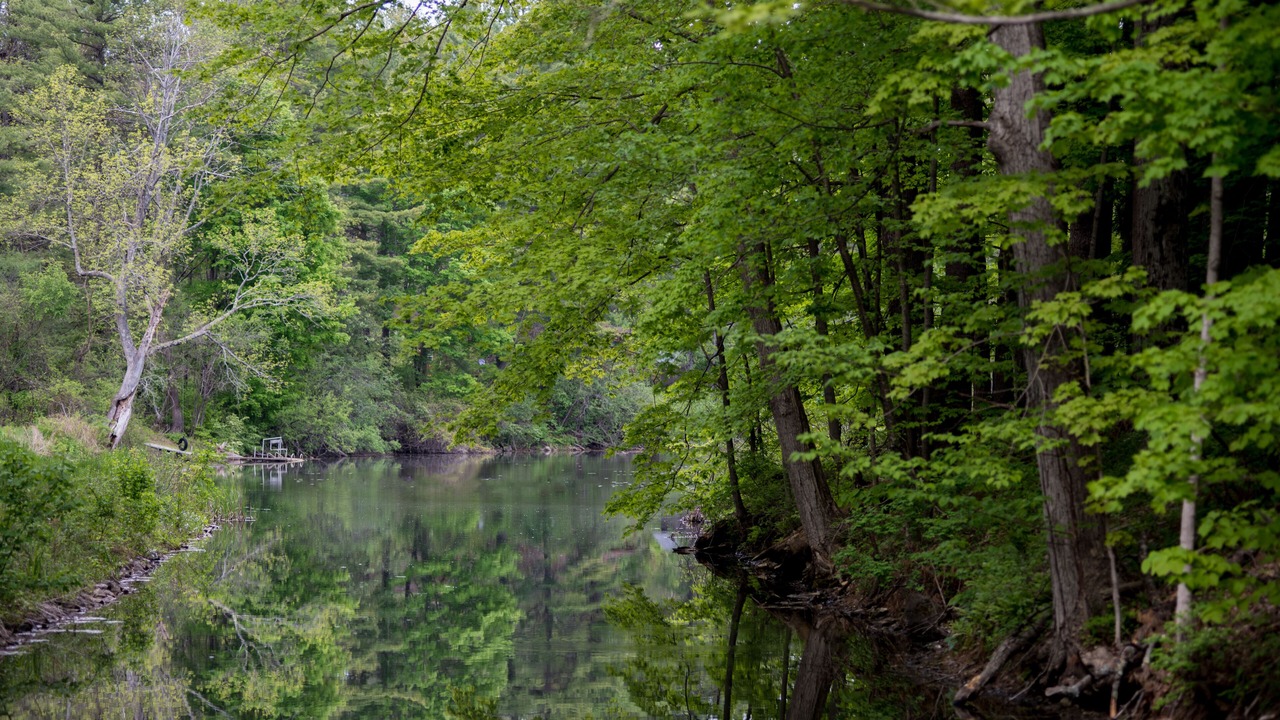 Photo of Outdoor in West Stockbridge