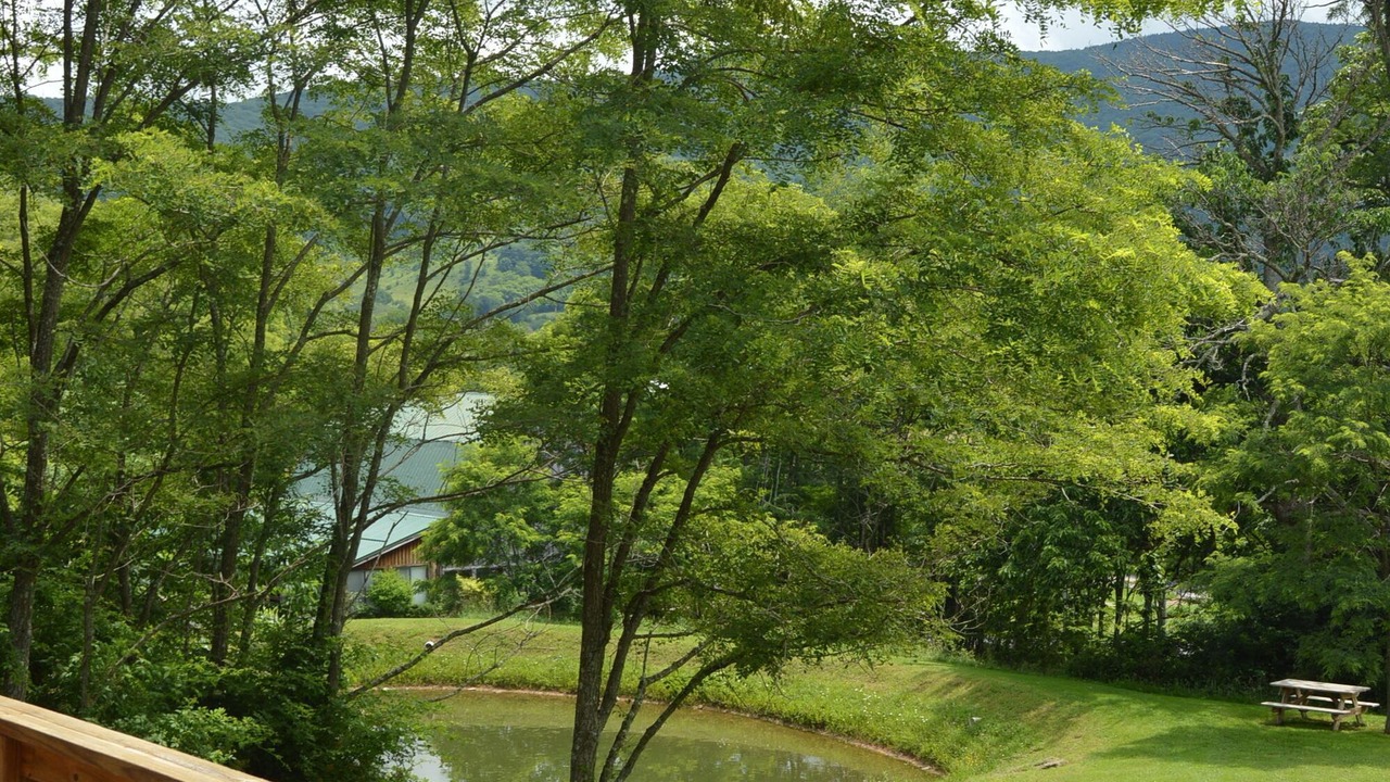 Photo of Outdoor in Canaan Valley
