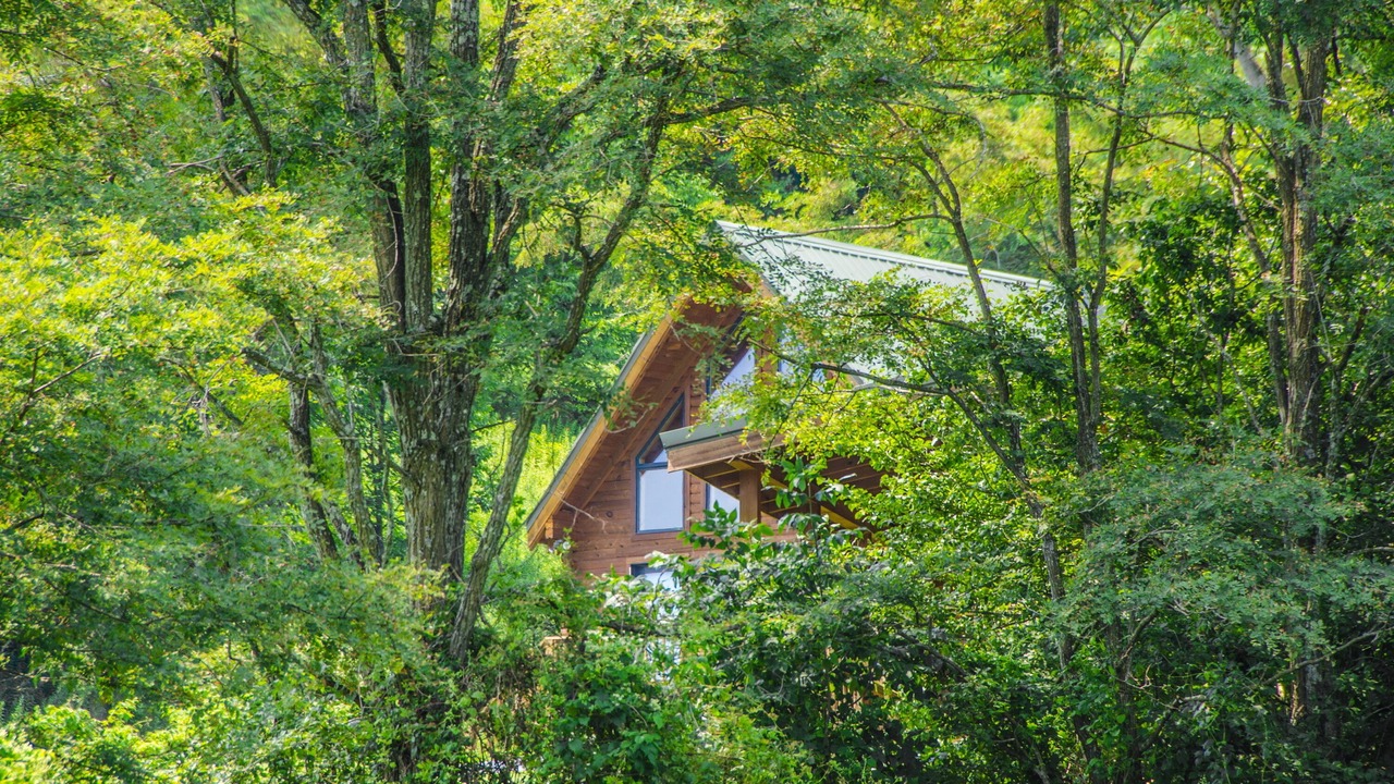 Photo of Outdoor in Canaan Valley