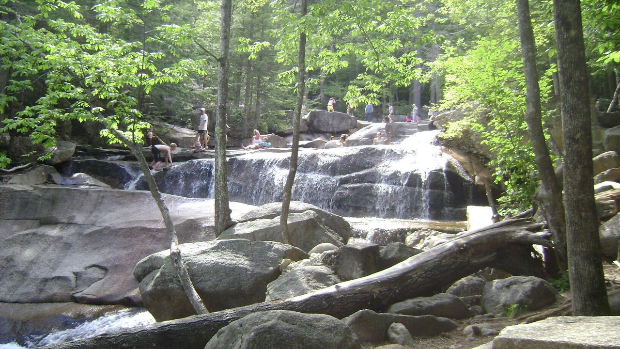 Photo of Others in Bartlett