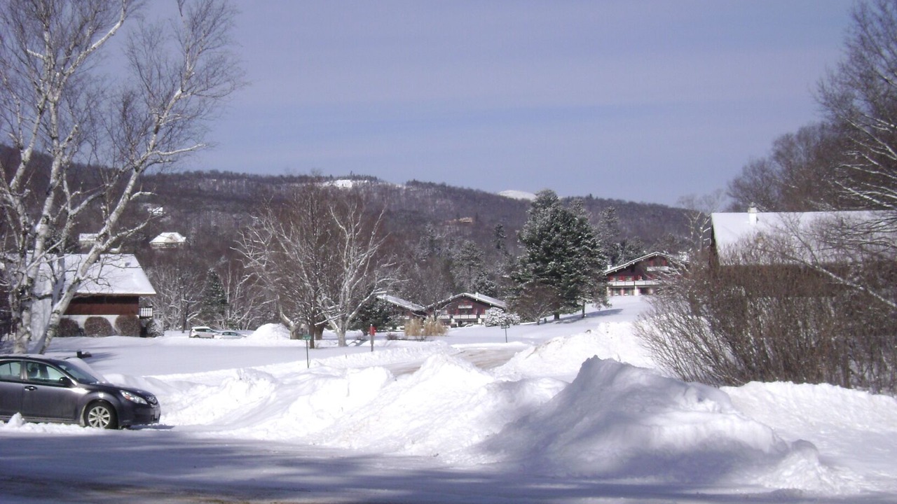 Photo of Others in Bartlett