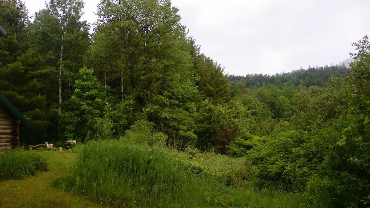 Photo of Outdoor in Upper Jay