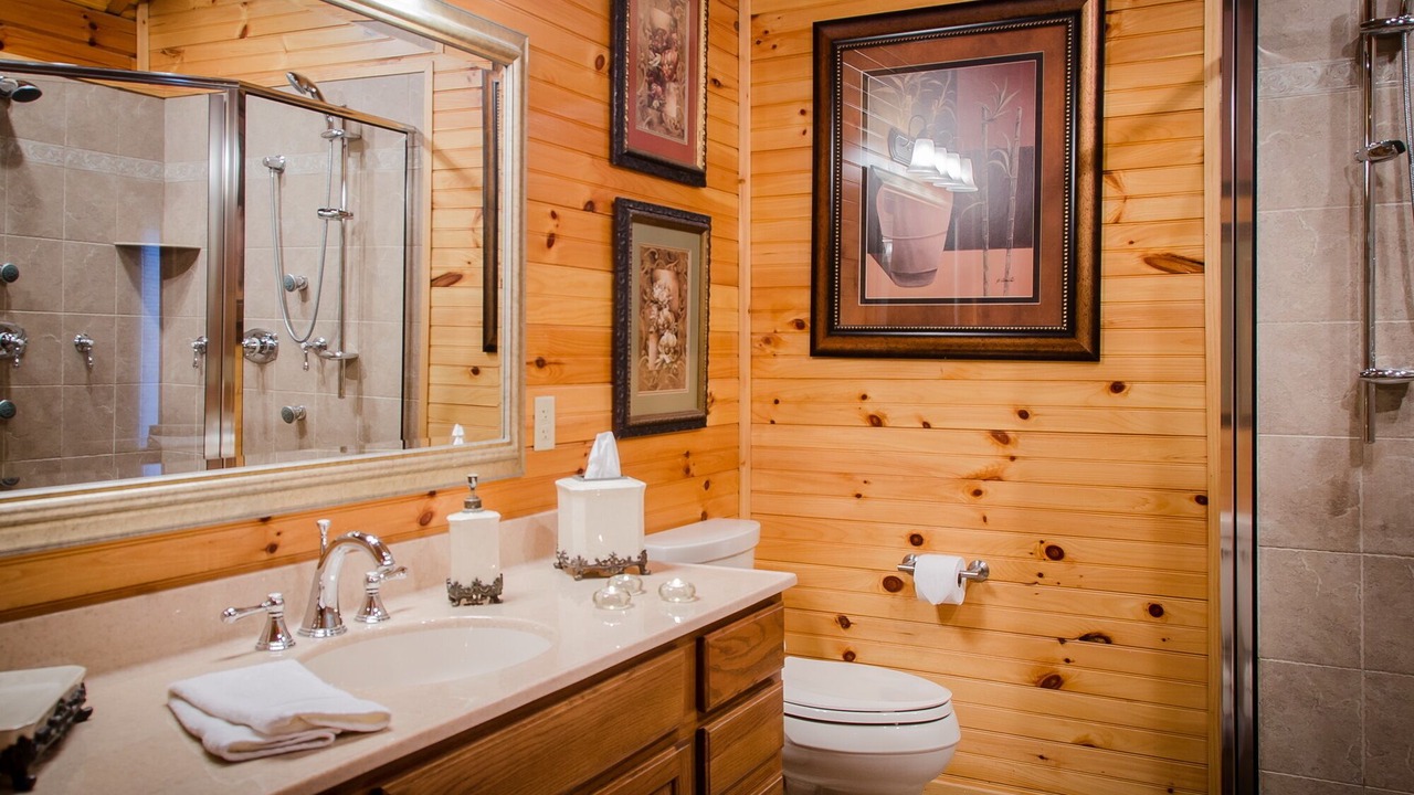 Photo of Bathroom in Davis