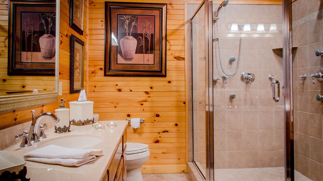 Photo of Bathroom in Davis