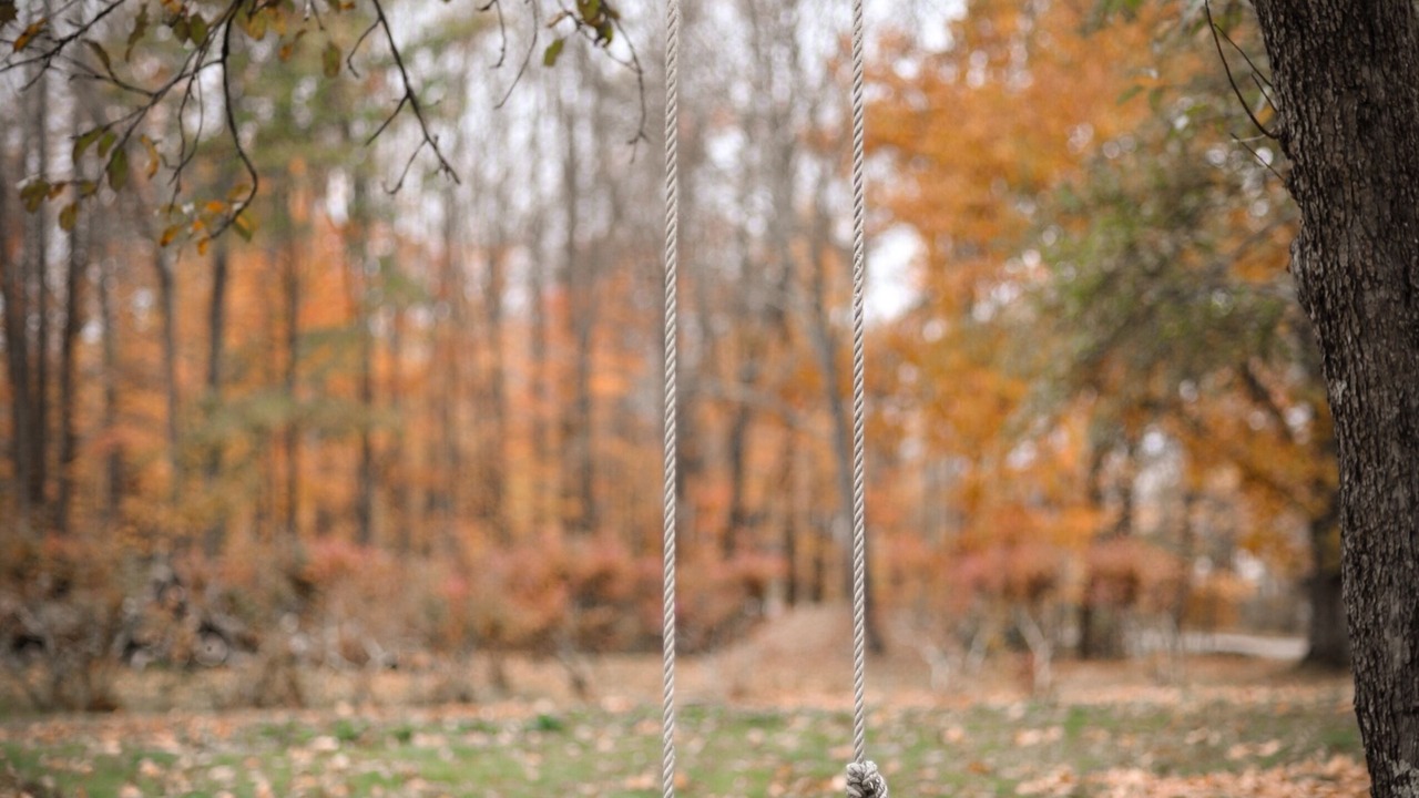 Photo of Outdoor in Lebanon