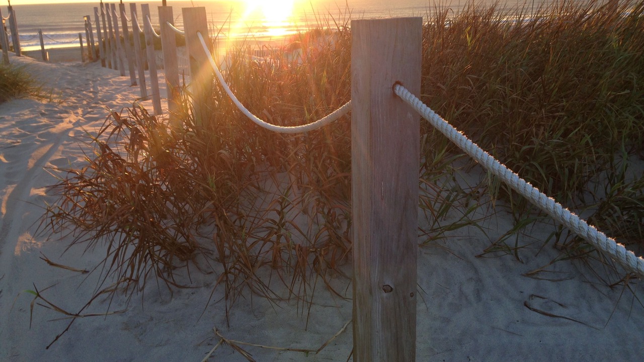Photo of Others in Corolla