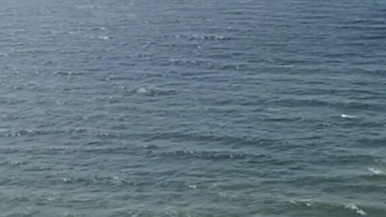 Photo of Others in Galveston
