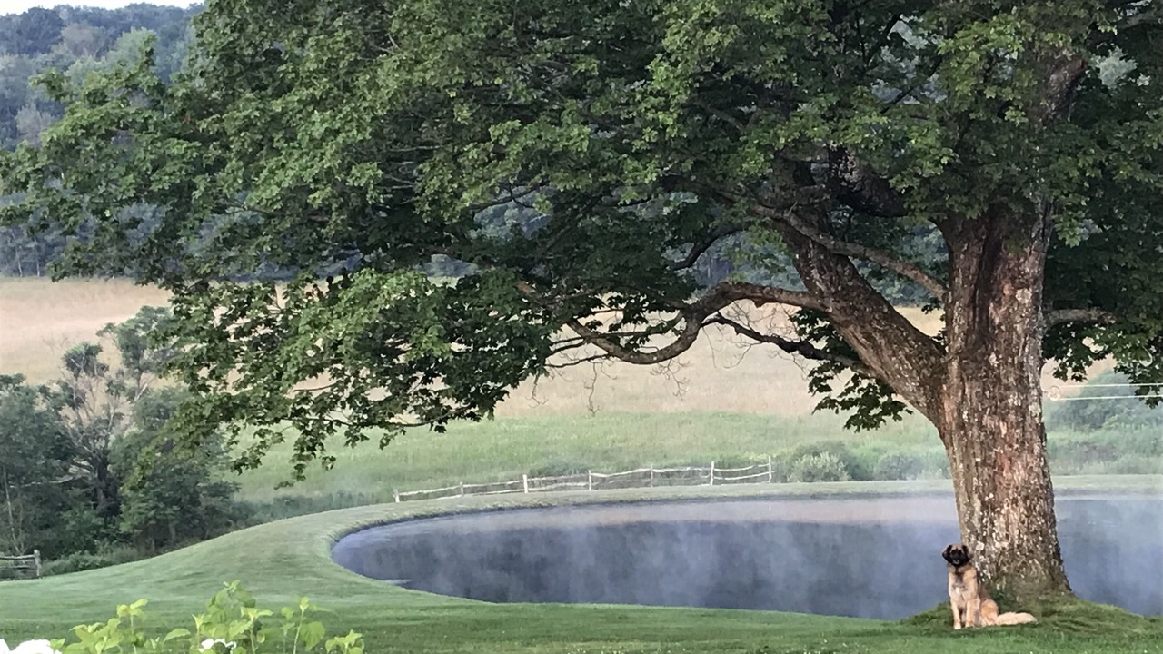 Photo of Outdoor in Wells Bridge