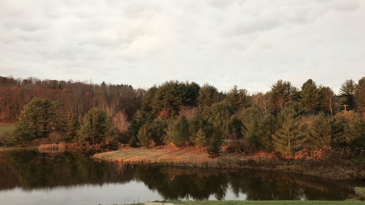 Photo of Outdoor in Wells Bridge