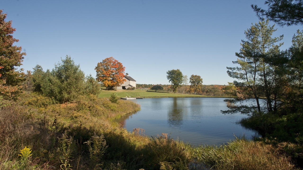 Photo of Others in Wells Bridge