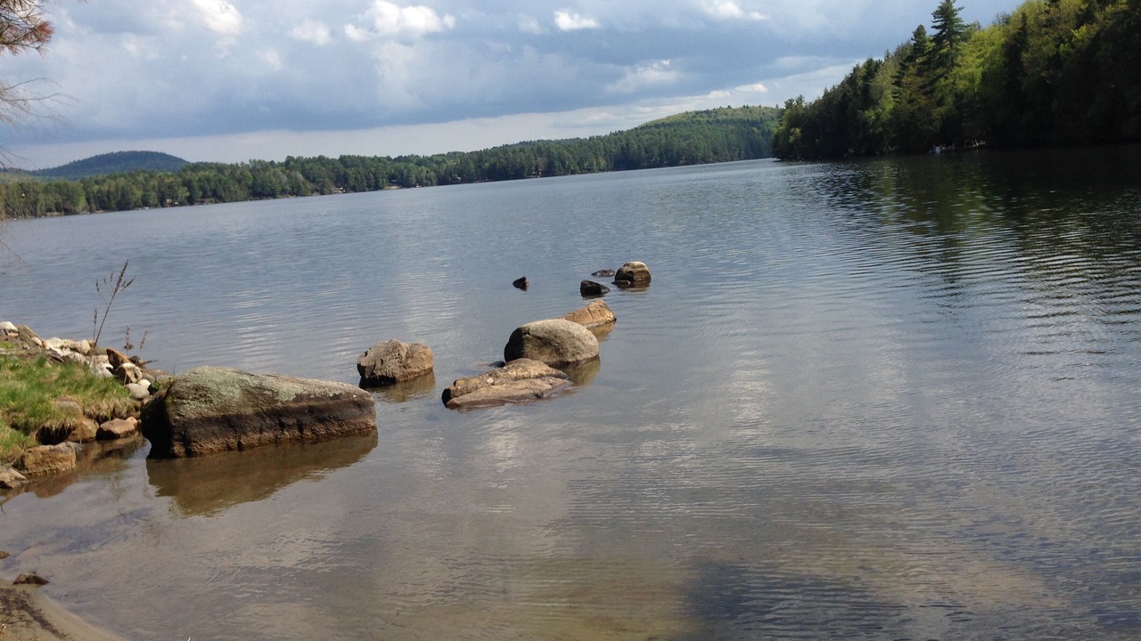 Photo of Others in Chestertown