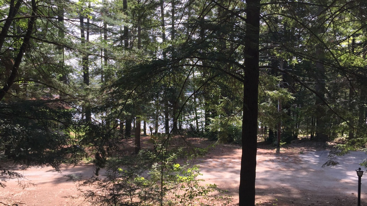 Photo of Outdoor in Chestertown