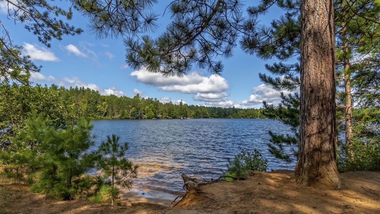 Photo of Others in North River