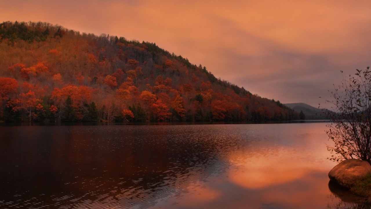 Photo of Others in North River