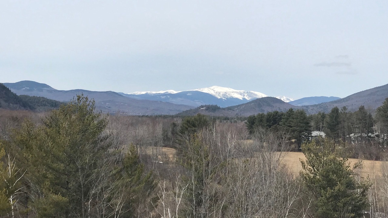 Photo of Others in Bartlett