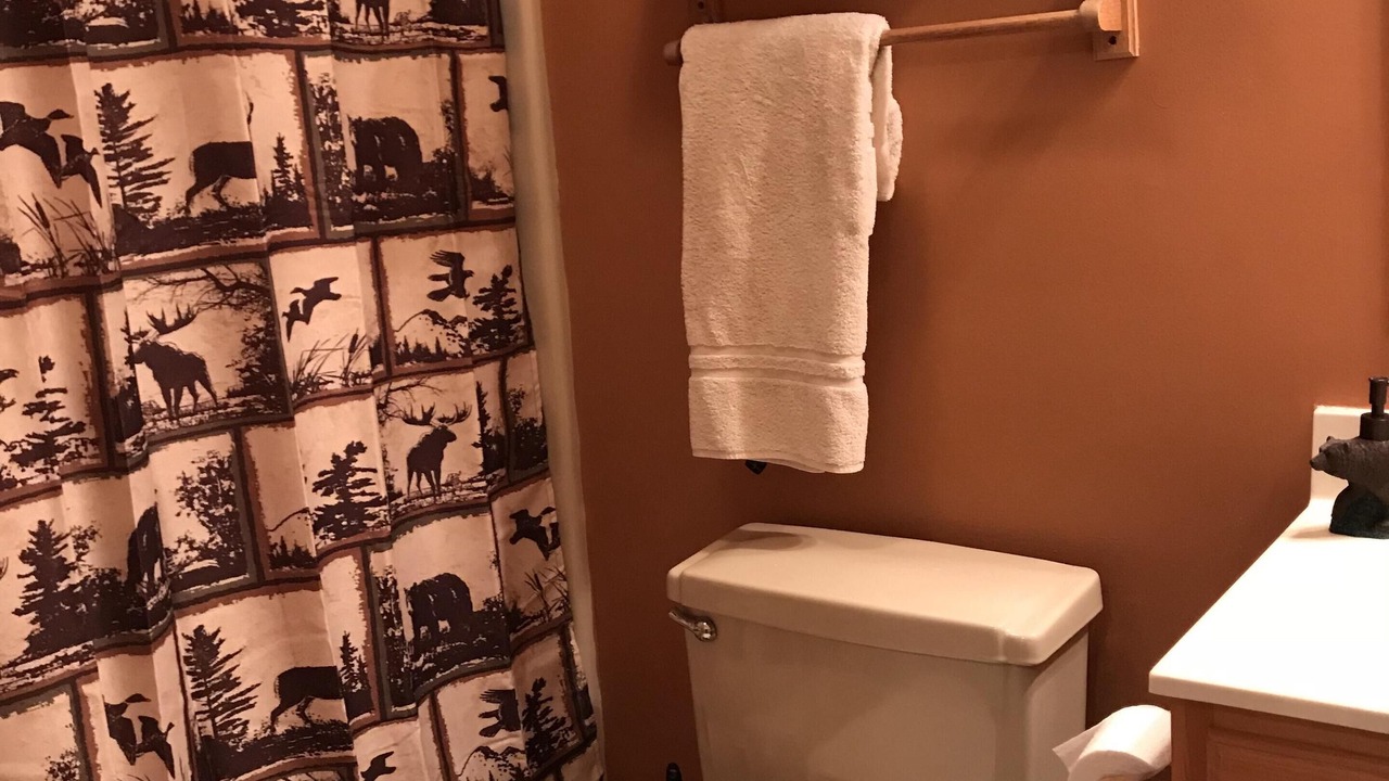 Photo of Bathroom in Bartlett