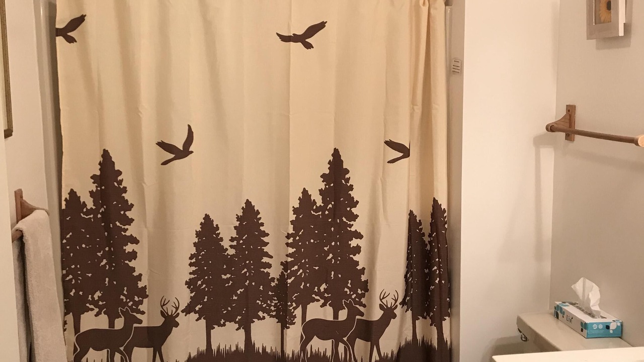 Photo of Bathroom in Bartlett