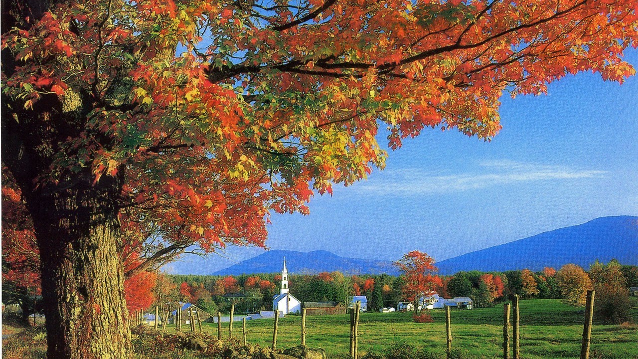 Photo of Others in Chocorua