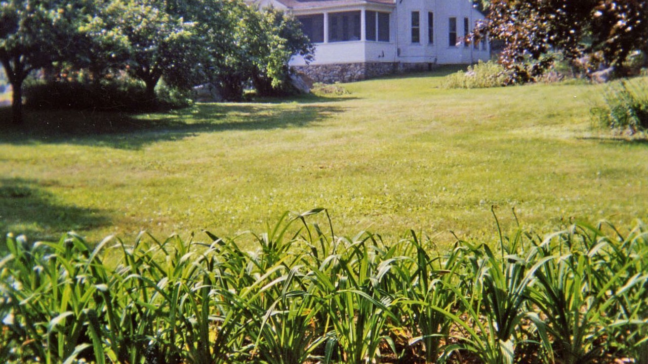 Photo of Others in Chocorua