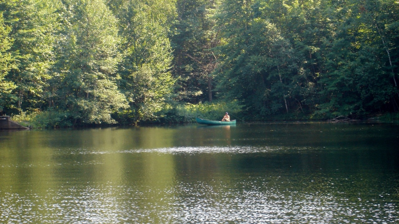 Photo of Others in Parsonsfield