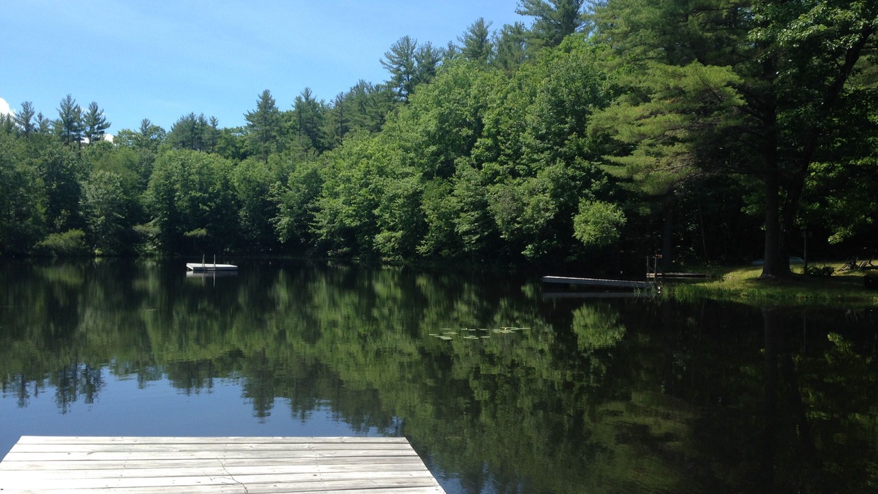 Photo of Others in Parsonsfield