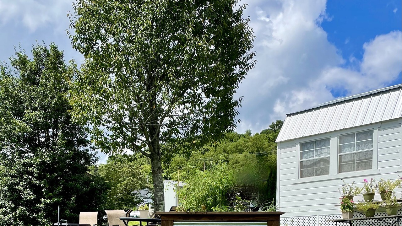 Photo of Outdoor in Fries