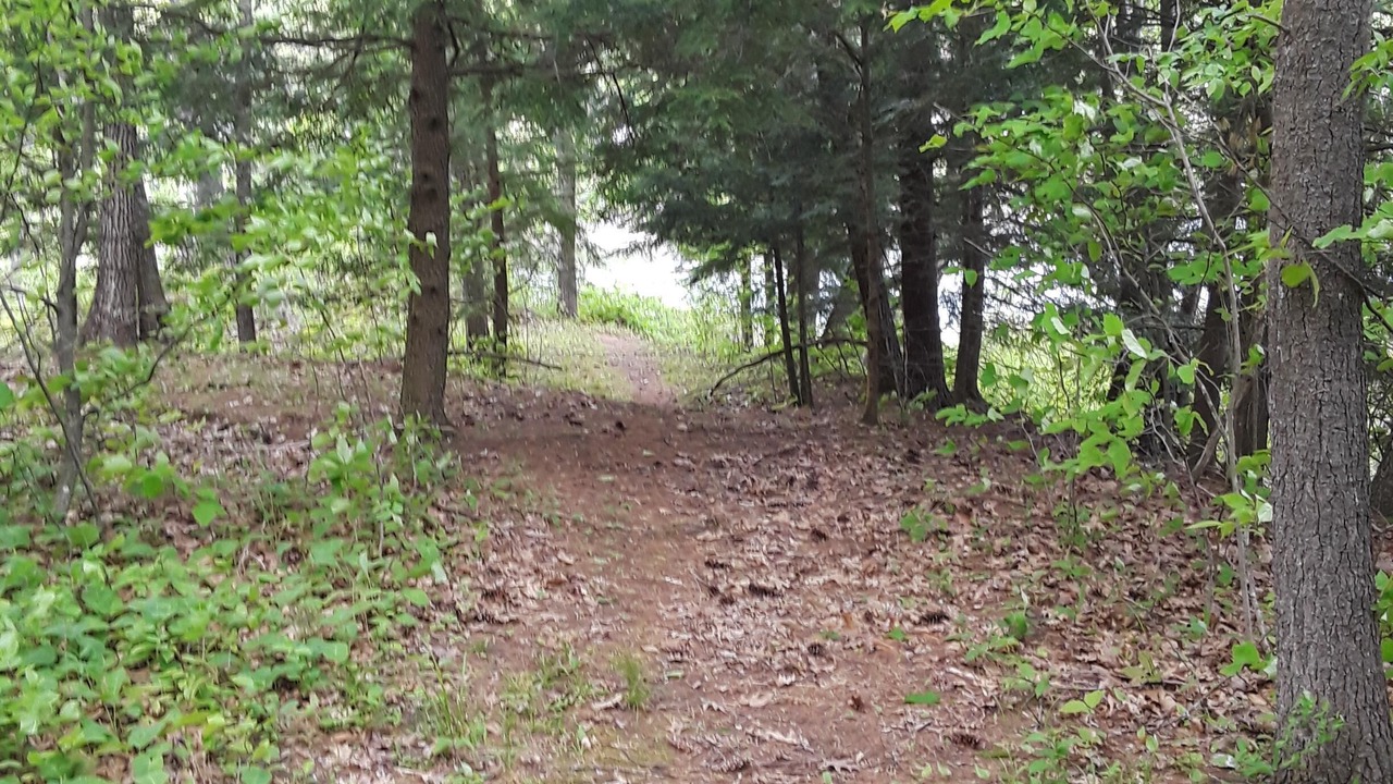 Photo of Others in Wells River