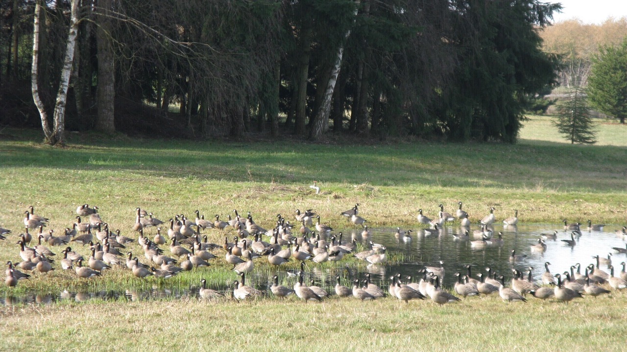 Photo of Others in Canby
