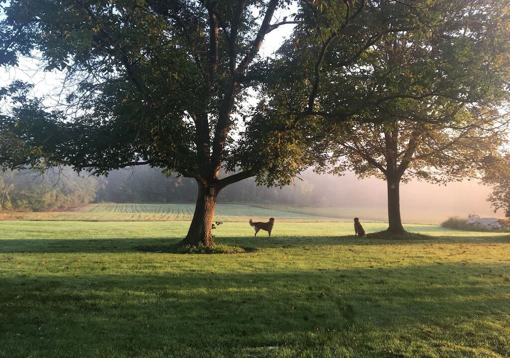 Photo of Others in Newfield