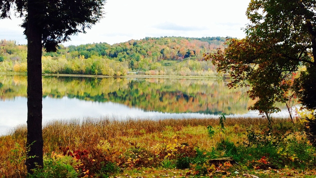 Photo of Outdoor in Newport