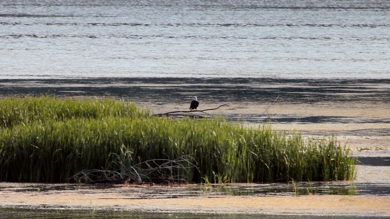 Photo of Others in Newport