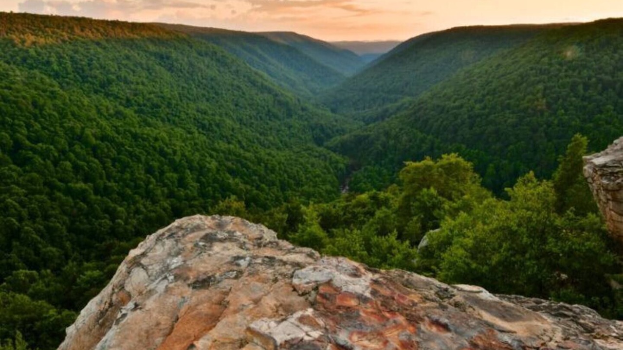 Photo of Others in Canaan Valley