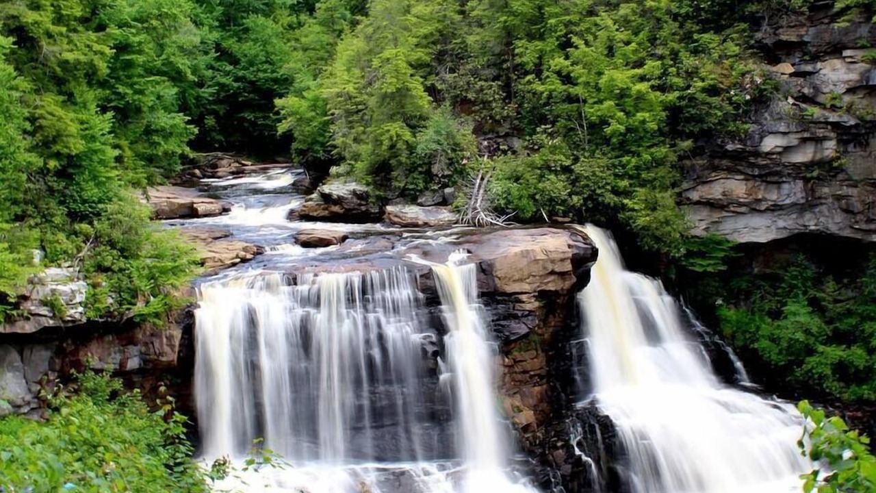 Photo of Others in Canaan Valley
