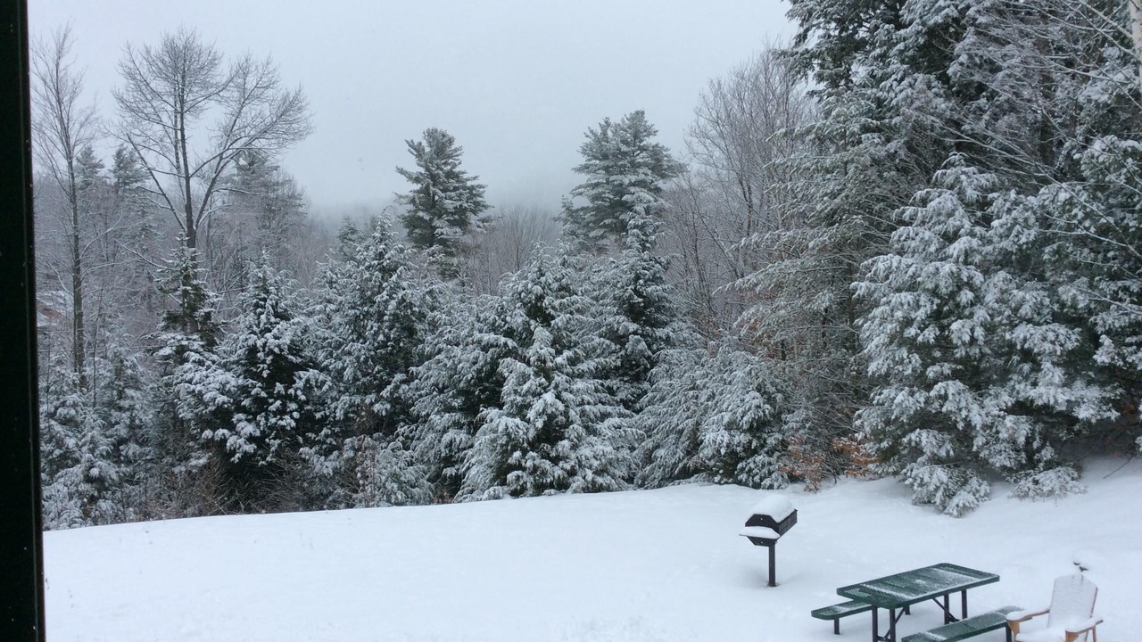 Photo of Outdoor in Bartlett