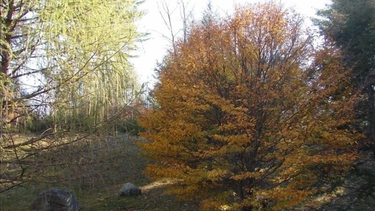 Photo of Others in Bartlett