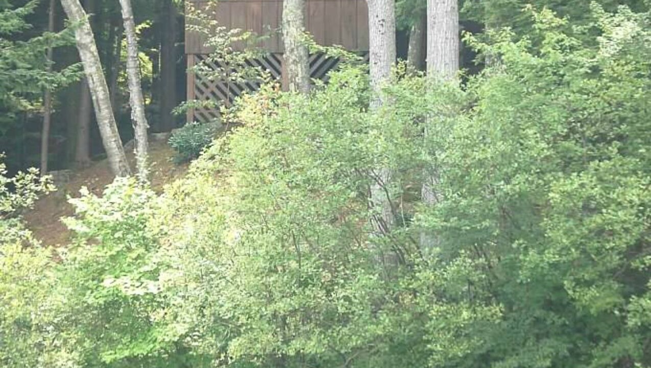 Photo of Others in Moultonborough