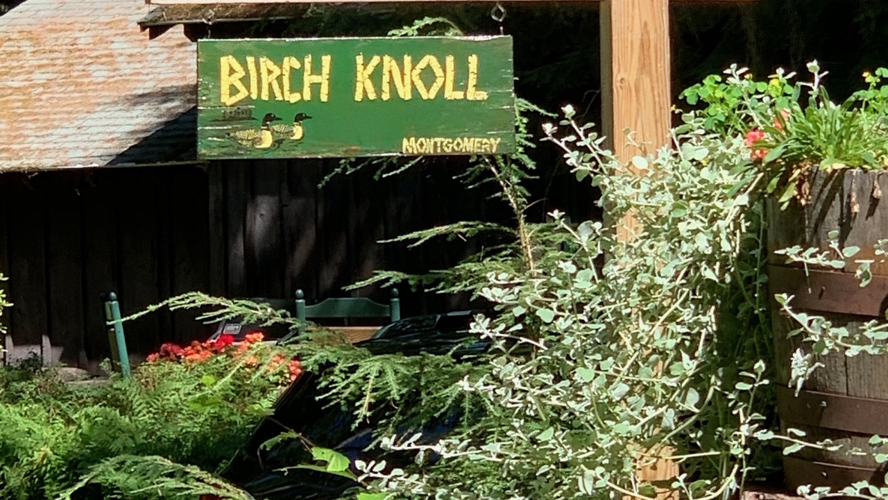 Photo of Outdoor in Moultonborough
