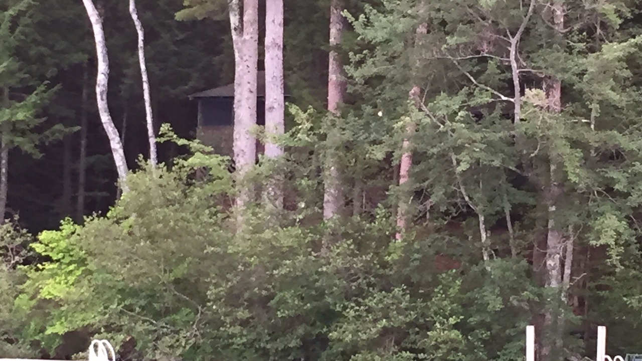 Photo of Others in Moultonborough