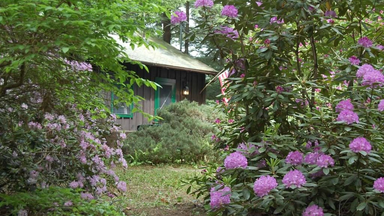 Photo of Outdoor in Moultonborough