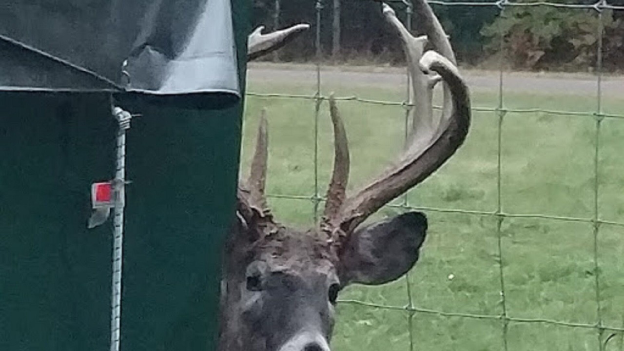Photo of Outdoor in Adams
